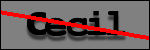 Text to Identify