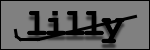 Text to Identify