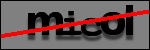 Text to Identify