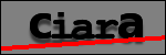 Text to Identify