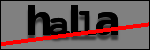Text to Identify