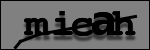 Text to Identify