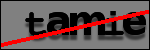Text to Identify