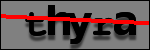 Text to Identify