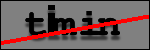 Text to Identify
