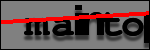 Text to Identify