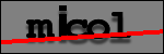 Text to Identify