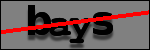 Text to Identify