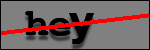 Text to Identify
