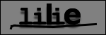 Text to Identify