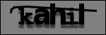 Text to Identify