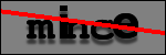 Text to Identify
