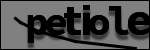 Texte à identifier