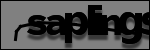 Texte à identifier