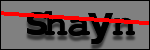 Texte à identifier