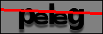Texte à identifier