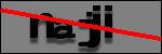 Texte à identifier