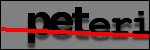 Texte à identifier