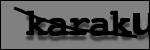 Texte à identifier
