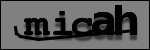Texte à identifier