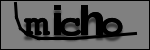 Texte à identifier