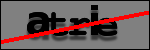 Texte à identifier