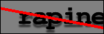 Texte à identifier