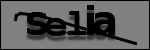 Texte à identifier