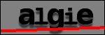 Texte à identifier