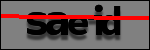 Testo da Identificare