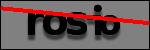 Testo da Identificare