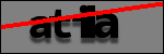 Testo da Identificare
