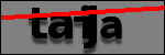Testo da Identificare