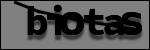 Testo da Identificare