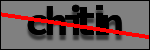 Testo da Identificare