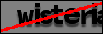 Testo da Identificare