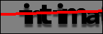 Testo da Identificare