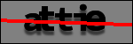 Testo da Identificare