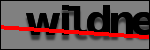 Testo da Identificare