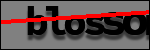 Testo da Identificare