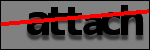 Testo da Identificare