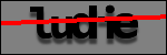 Testo da Identificare