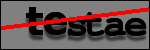 Testo da Identificare