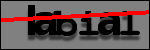 Testo da Identificare