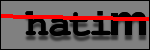 Testo da Identificare