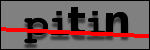 Testo da Identificare