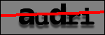Testo da Identificare