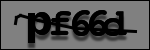 Testo da Identificare