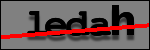 Testo da Identificare