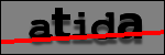 Testo da Identificare